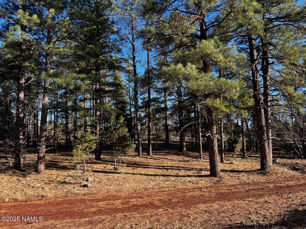 475 North Double A Ranch Road Williams, AZ 86046 - Photo 12 of 18 a view of park