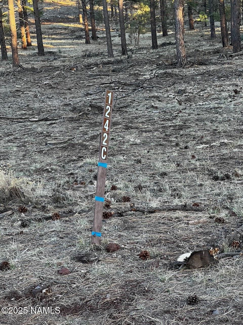 475 North Double A Ranch Road Williams, AZ 86046 - Photo 15 of 18