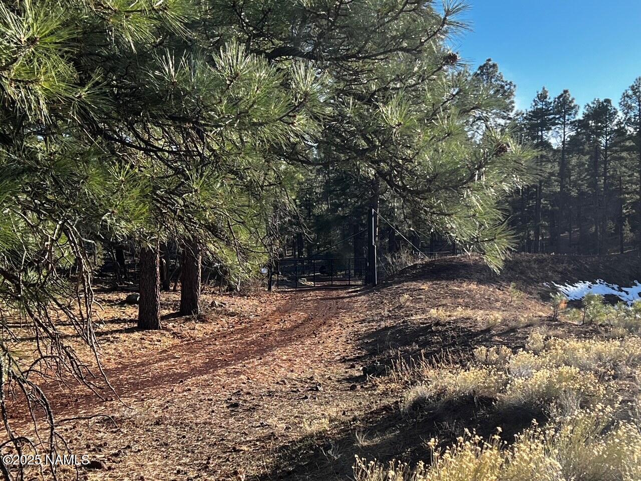 475 North Double A Ranch Road Williams, AZ 86046 - Photo 5 of 18 a view of outdoor space with trees
