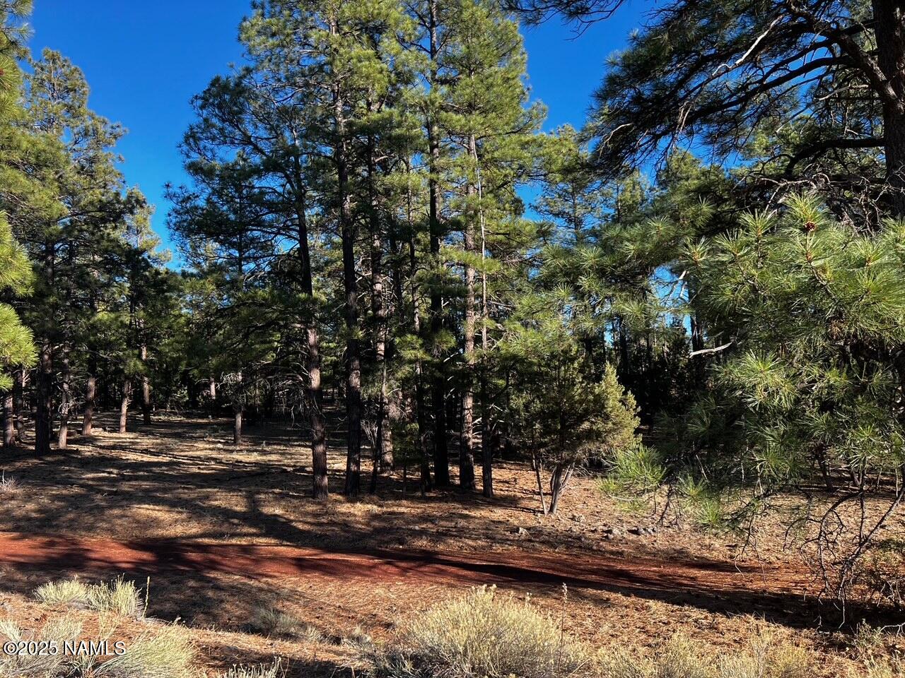 475 North Double A Ranch Road Williams, AZ 86046 - Photo 7 of 18 a view of lake with trees