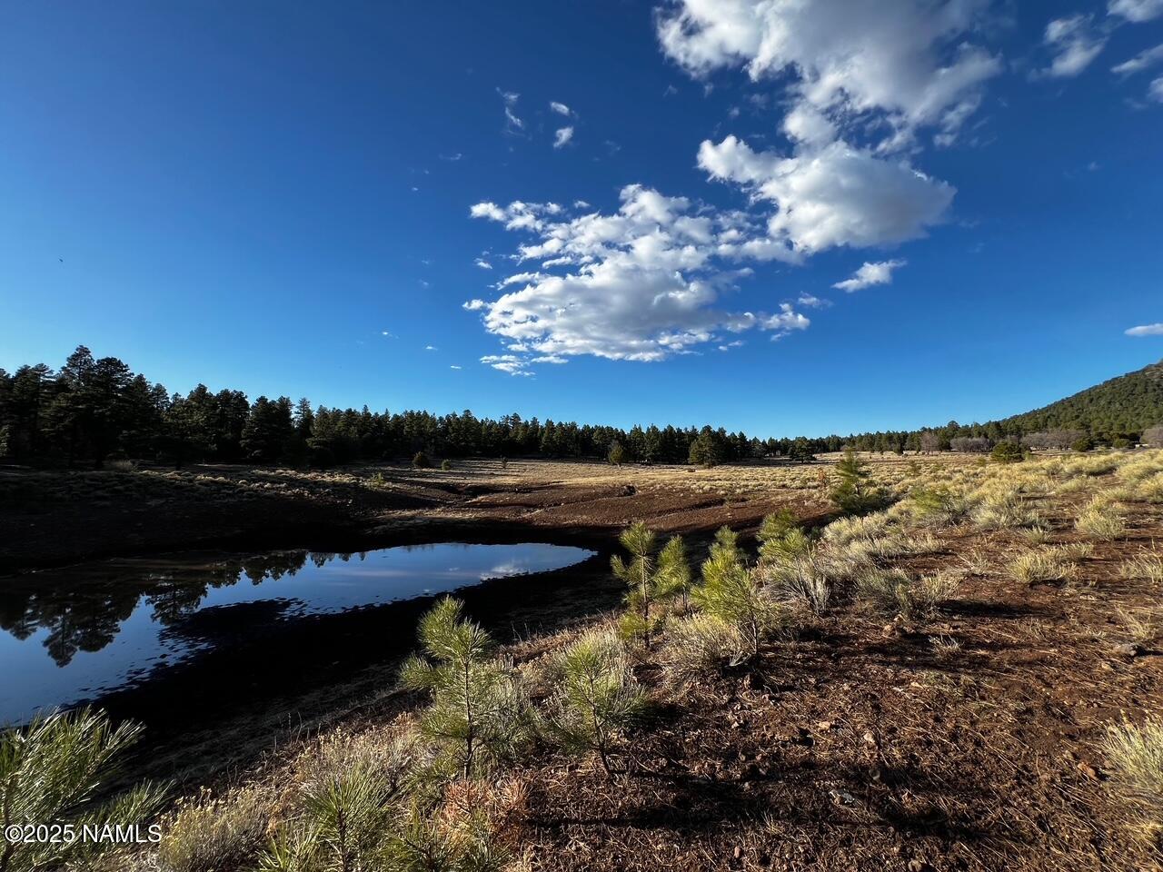 475 North Double A Ranch Road Williams, AZ 86046 - Photo 8 of 18 a view of a lake with a yard