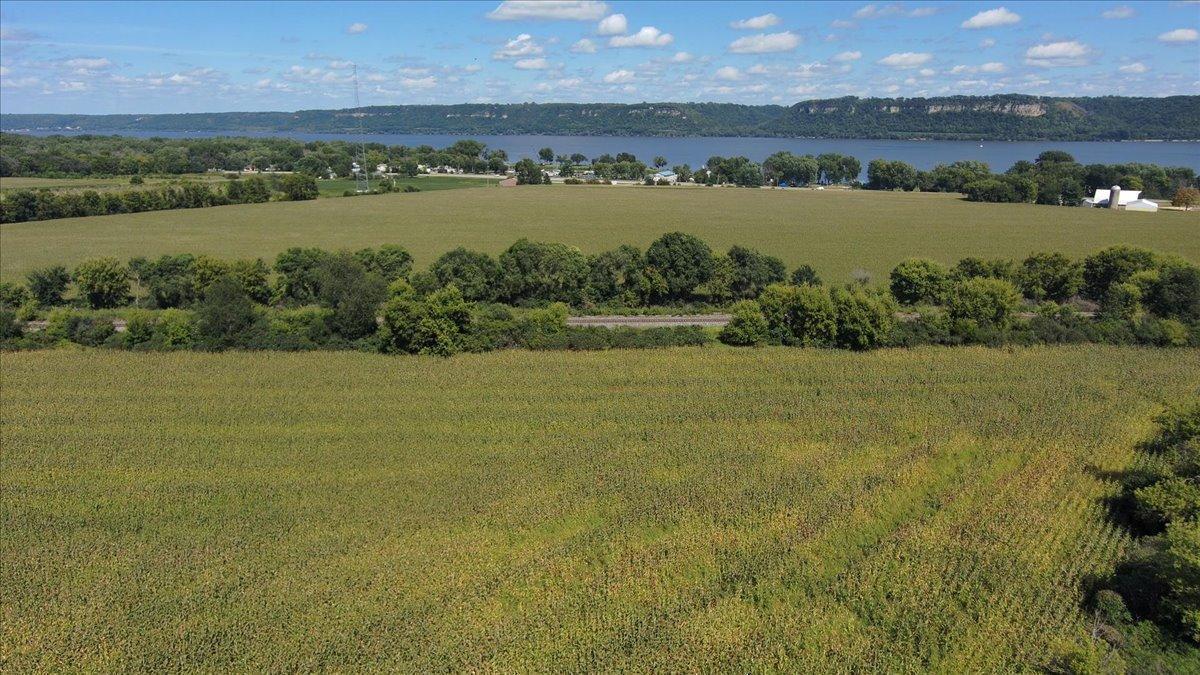 Tbd Staehli Park Road Lake City, MN 55041 - Photo 6 of 27