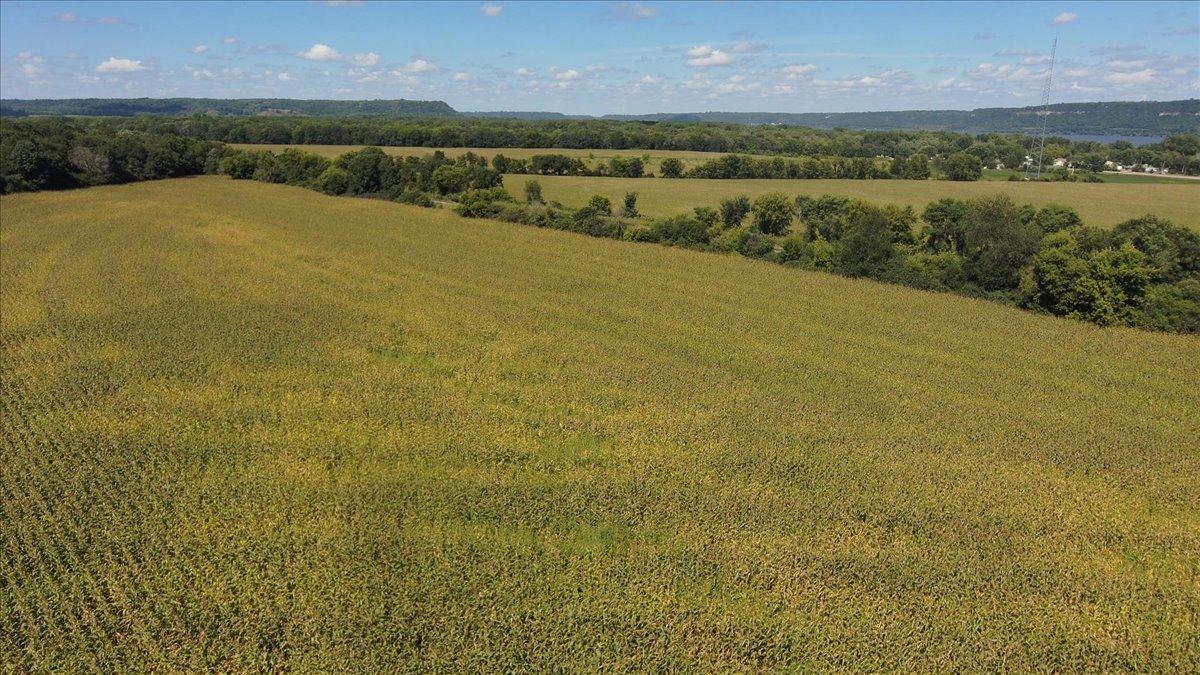 Tbd Staehli Park Road Lake City, MN 55041 - Photo 7 of 27