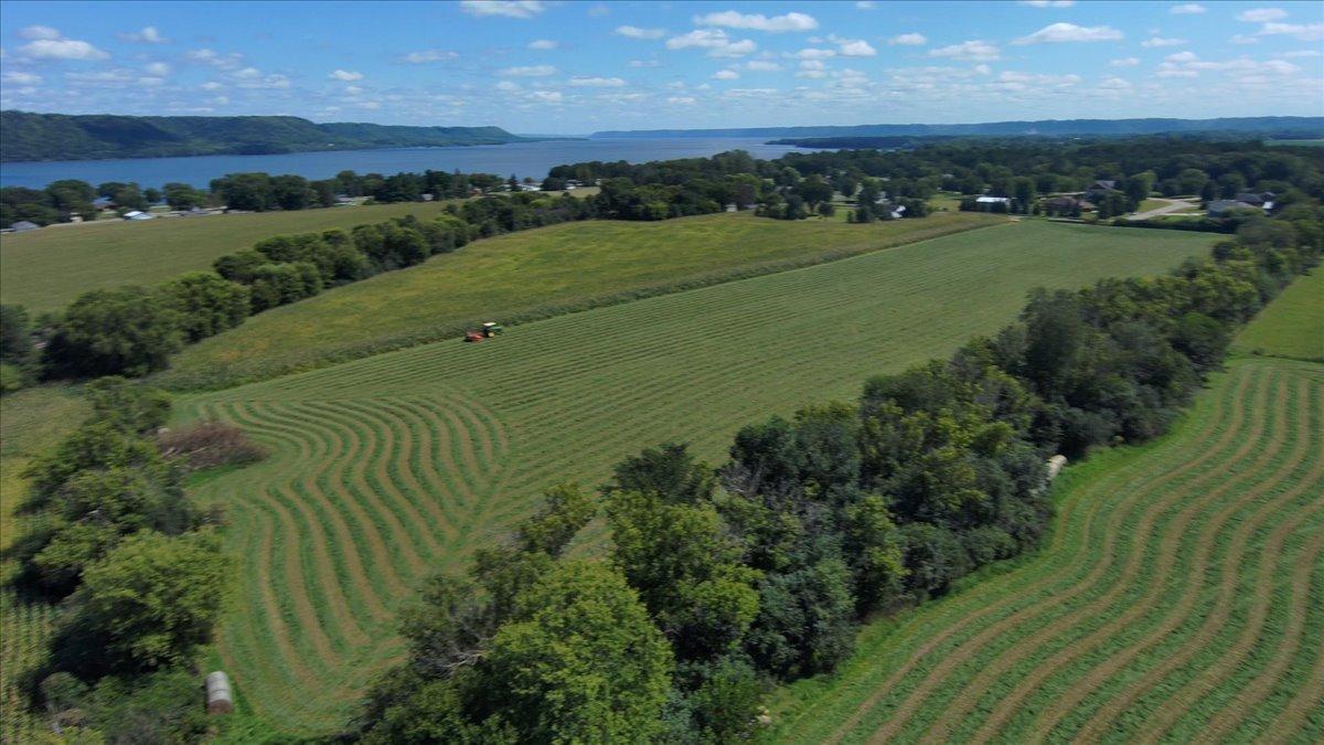 Tbd Staehli Park Road Lake City, MN 55041 - Photo 8 of 27