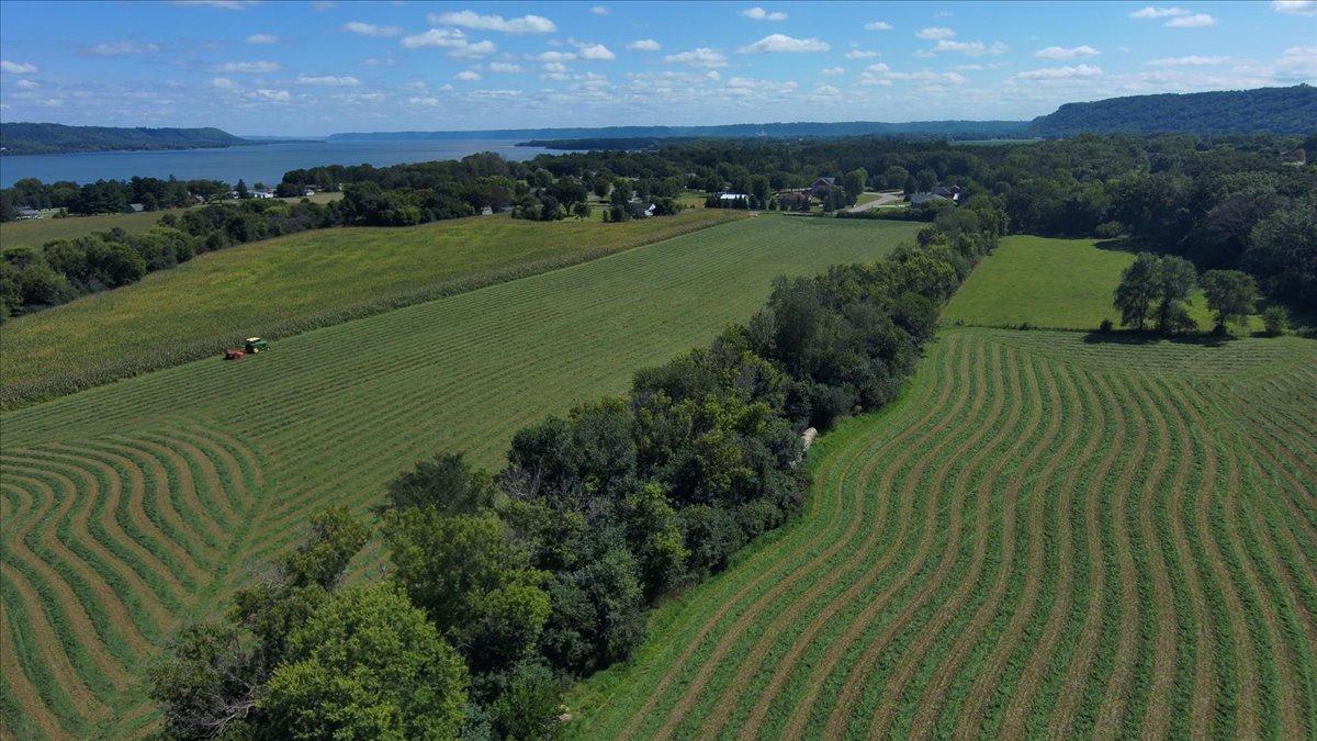 Tbd Staehli Park Road Lake City, MN 55041 - Photo 9 of 27