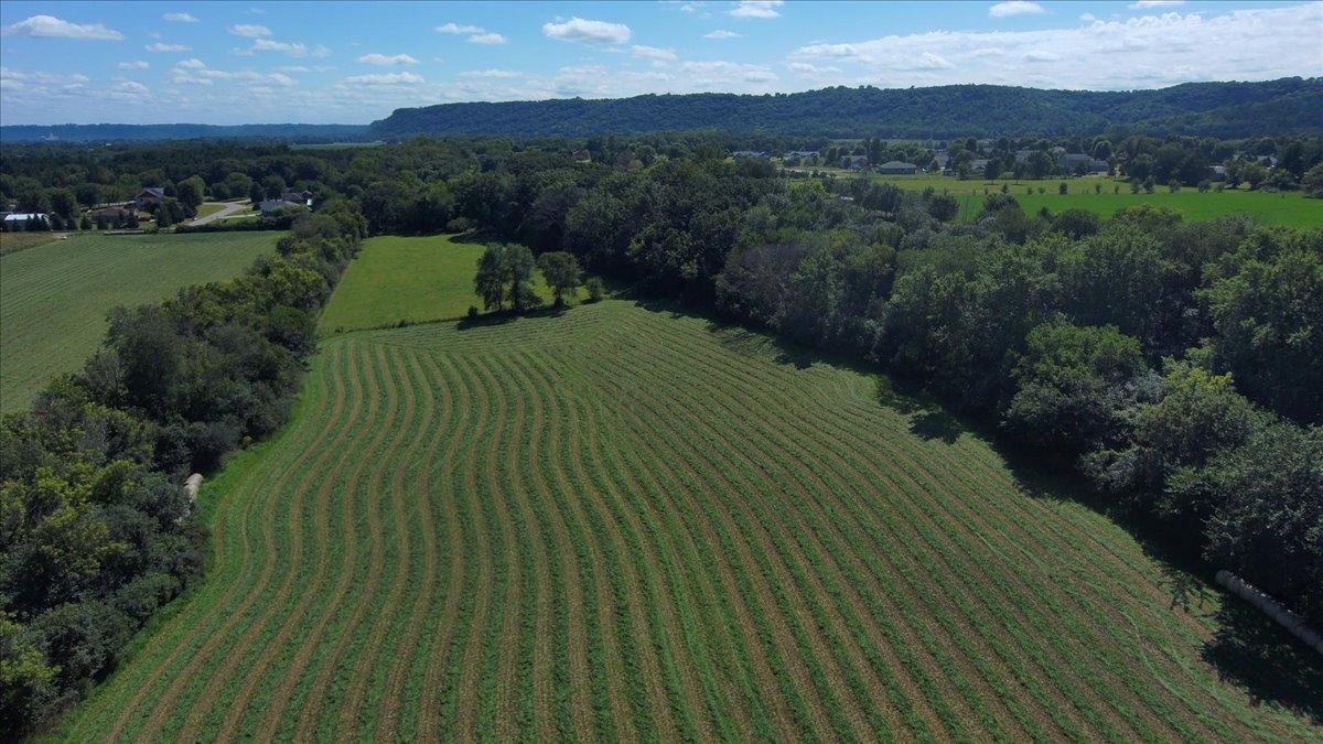 Tbd Staehli Park Road Lake City, MN 55041 - Photo 10 of 27