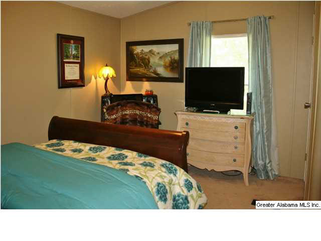 8141 Serene Lake Road McCalla, AL 35111 - Photo 24 of 32