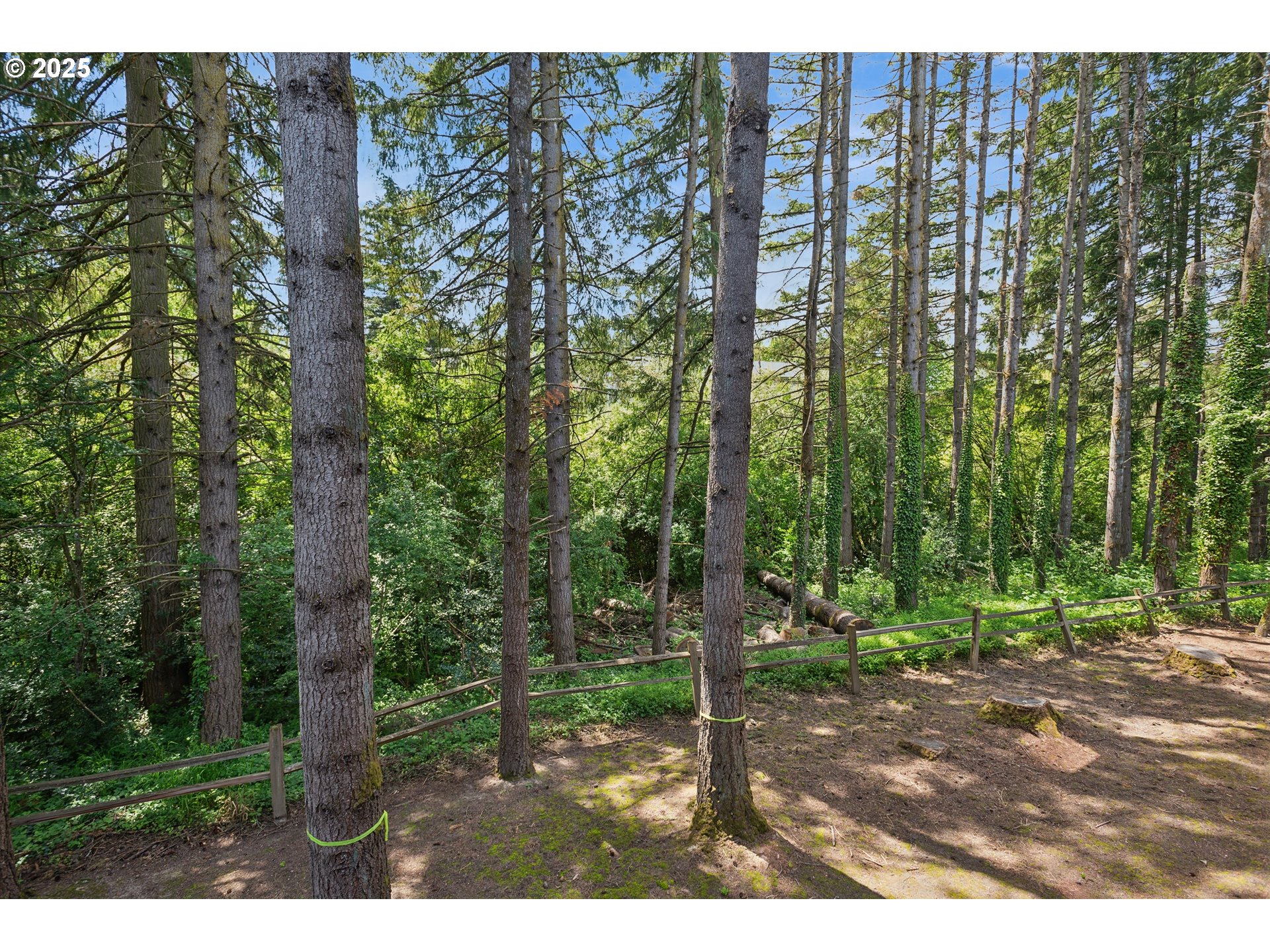 14320 Southwest Fox Lane Beaverton, OR 97008 - Photo 46 of 48 a backyard of a house with lots of green space