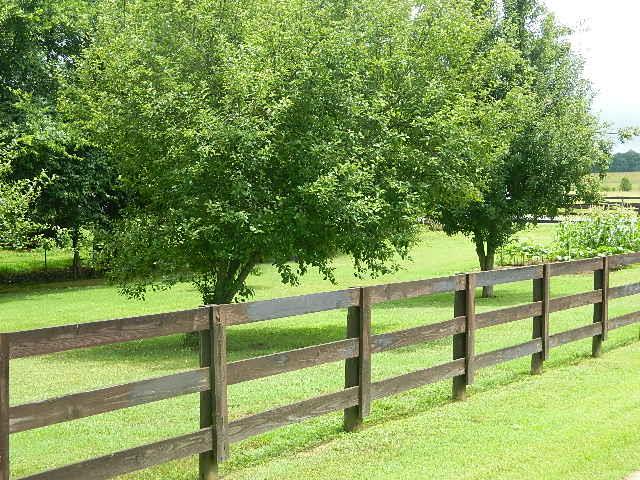 6291 Cox Road Arrington, TN 37014 - Photo 4 of 25 Gallery Image 4