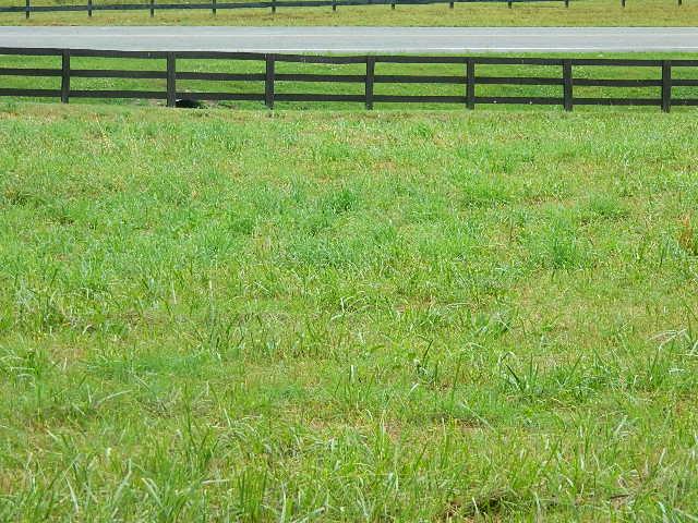 6291 Cox Road Arrington, TN 37014 - Photo 5 of 25 Gallery Image 5