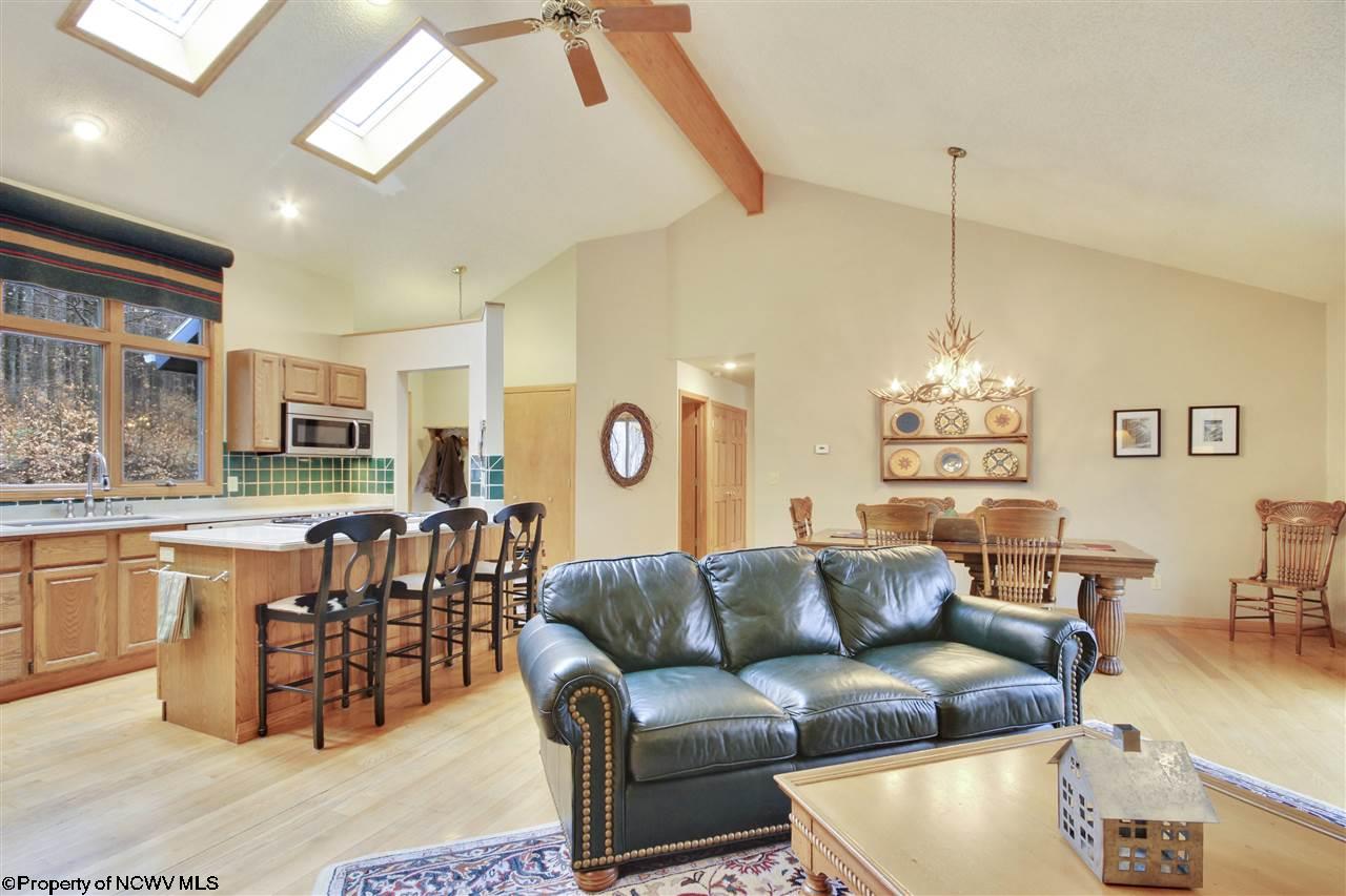 439 Ridge Road Davis, WV 26260 - Photo 2 of 20 Gallery Image 2