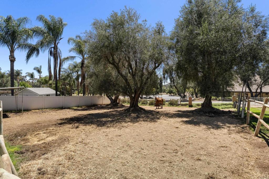 2365 Shaylene Way Alpine, CA 91901 - Photo 46 of 57
