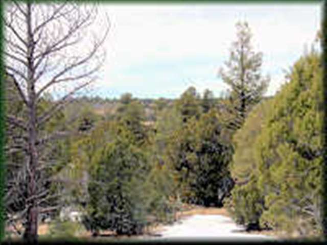 3 Sunset Ridge Drive Cibecue, AZ 85911 - Photo 2 of 2