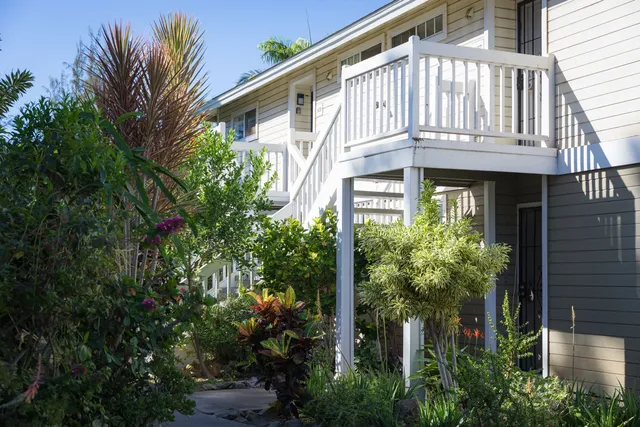 a view of a house with a tree