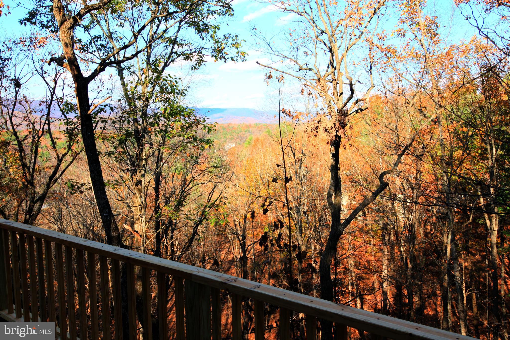 84 Raccoon Road Basye, VA 22810 - Photo 40 of 40 Gallery Image 40