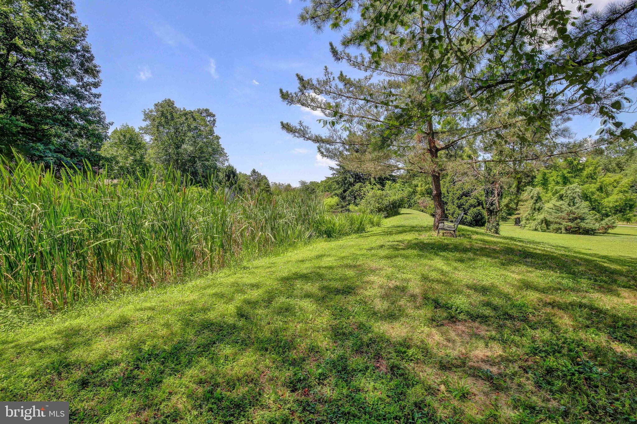 731 Silver Run Valley Road Westminster, MD 21158 - Photo 41 of 59 Gallery Image 41