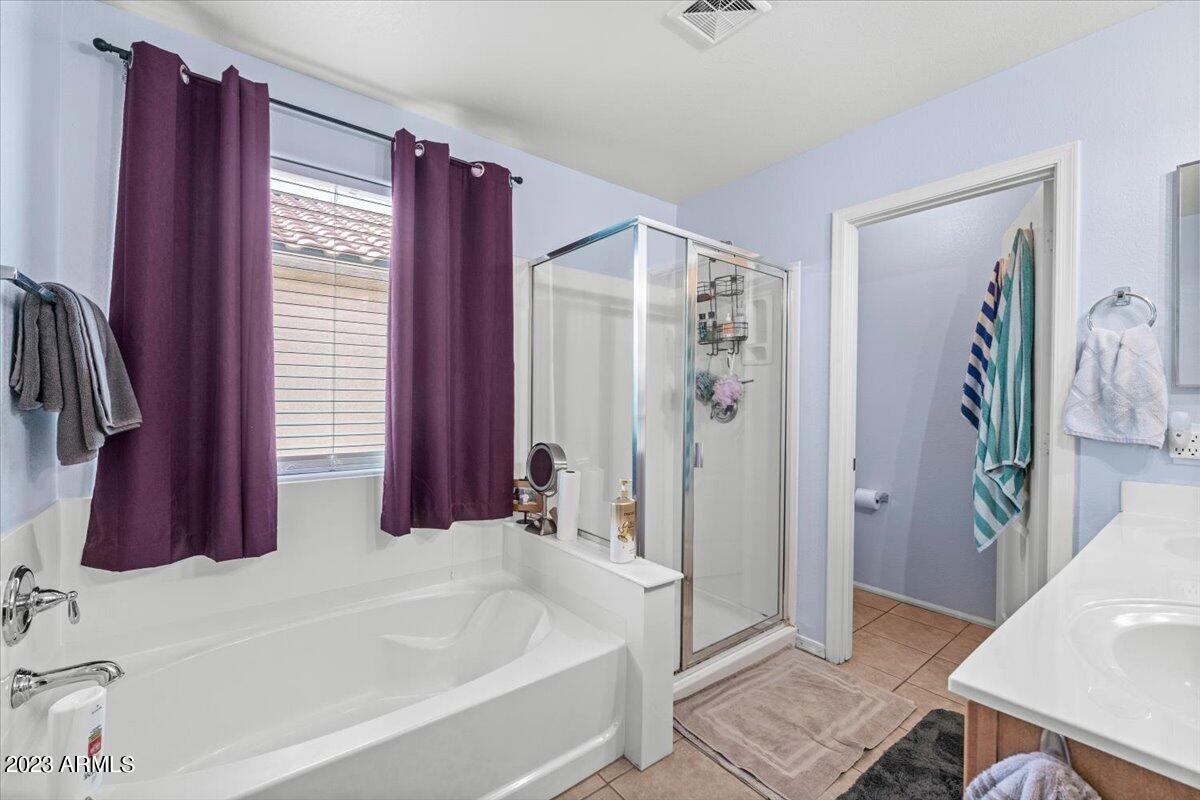 3475 South Rim Road Gilbert, AZ 85297 - Photo 12 of 16 18-Bathroom
