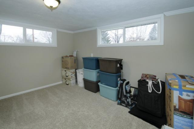 421 10th Avenue Three Rivers, MI 49093 - Photo 11 of 20 Additional Photo