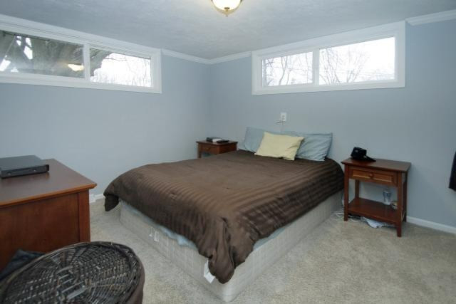 421 10th Avenue Three Rivers, MI 49093 - Photo 10 of 20 Additional Photo
