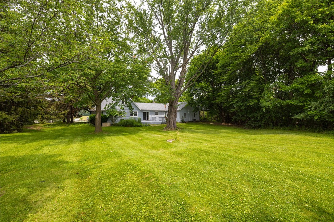 3127 State Rte 21 Canandaigua Town, NY 14424 - Photo 41 of 43