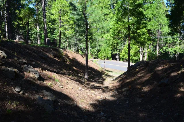 a view of outdoor space and yard