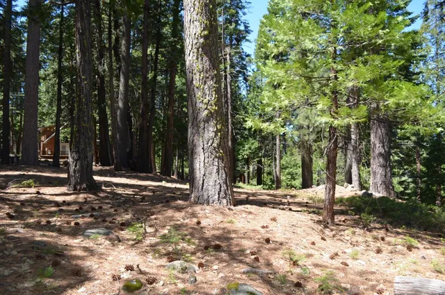 $95,000 | 3112 Apache Road, Dorrington, CA 95223