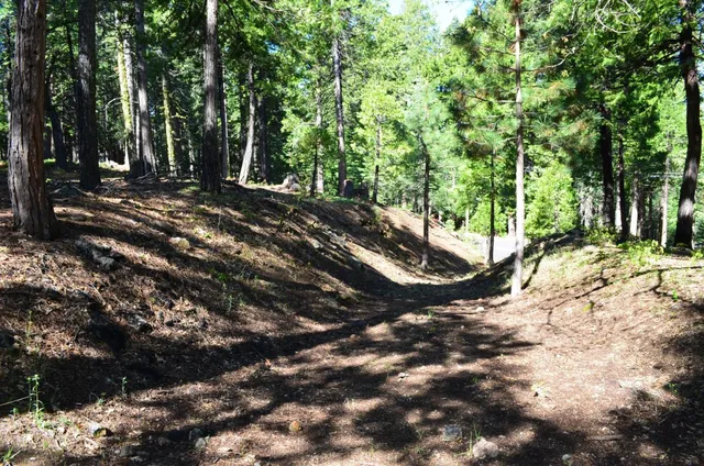a view of outdoor space with deck and green space