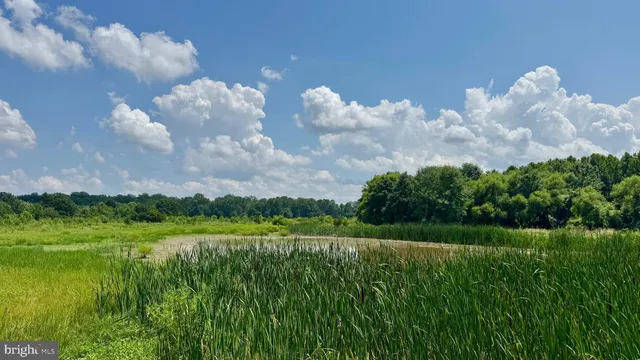 $12,500,000 | 6150 Oxford Road, Easton, MD 21601