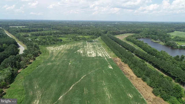 $12,500,000 | 6150 Oxford Road, Easton, MD 21601