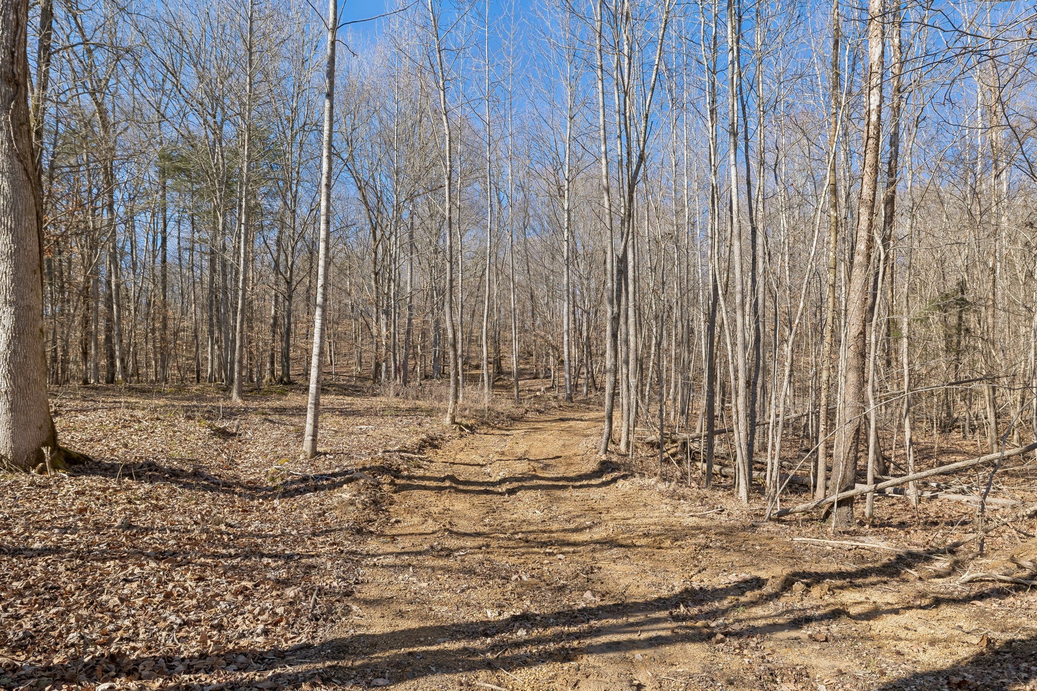 0 Hurricane Creek Road Linden, TN 37096 - Photo 1 of 20