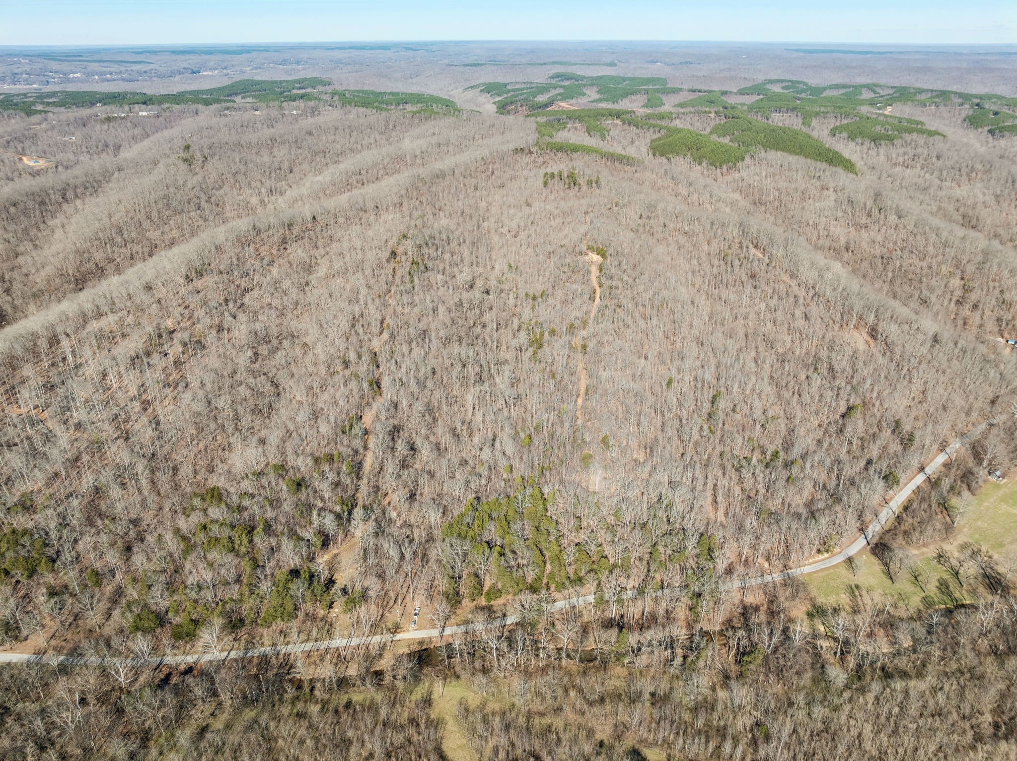 0 Hurricane Creek Road Linden, TN 37096 - Photo 11 of 20