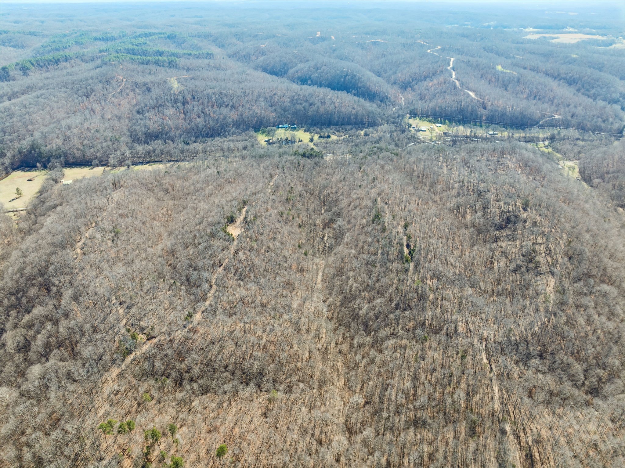 0 Hurricane Creek Road Linden, TN 37096 - Photo 12 of 20