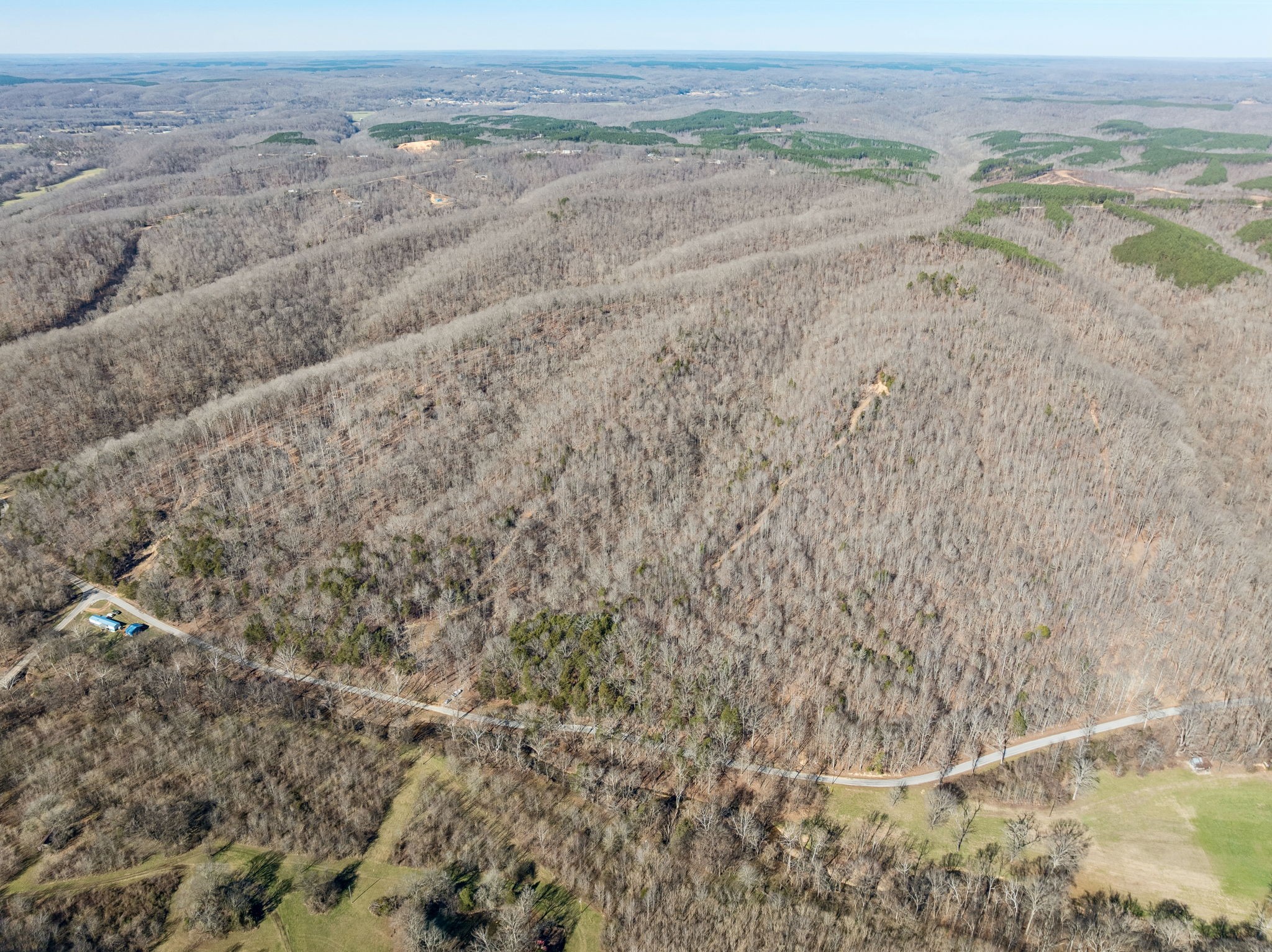 0 Hurricane Creek Road Linden, TN 37096 - Photo 18 of 20