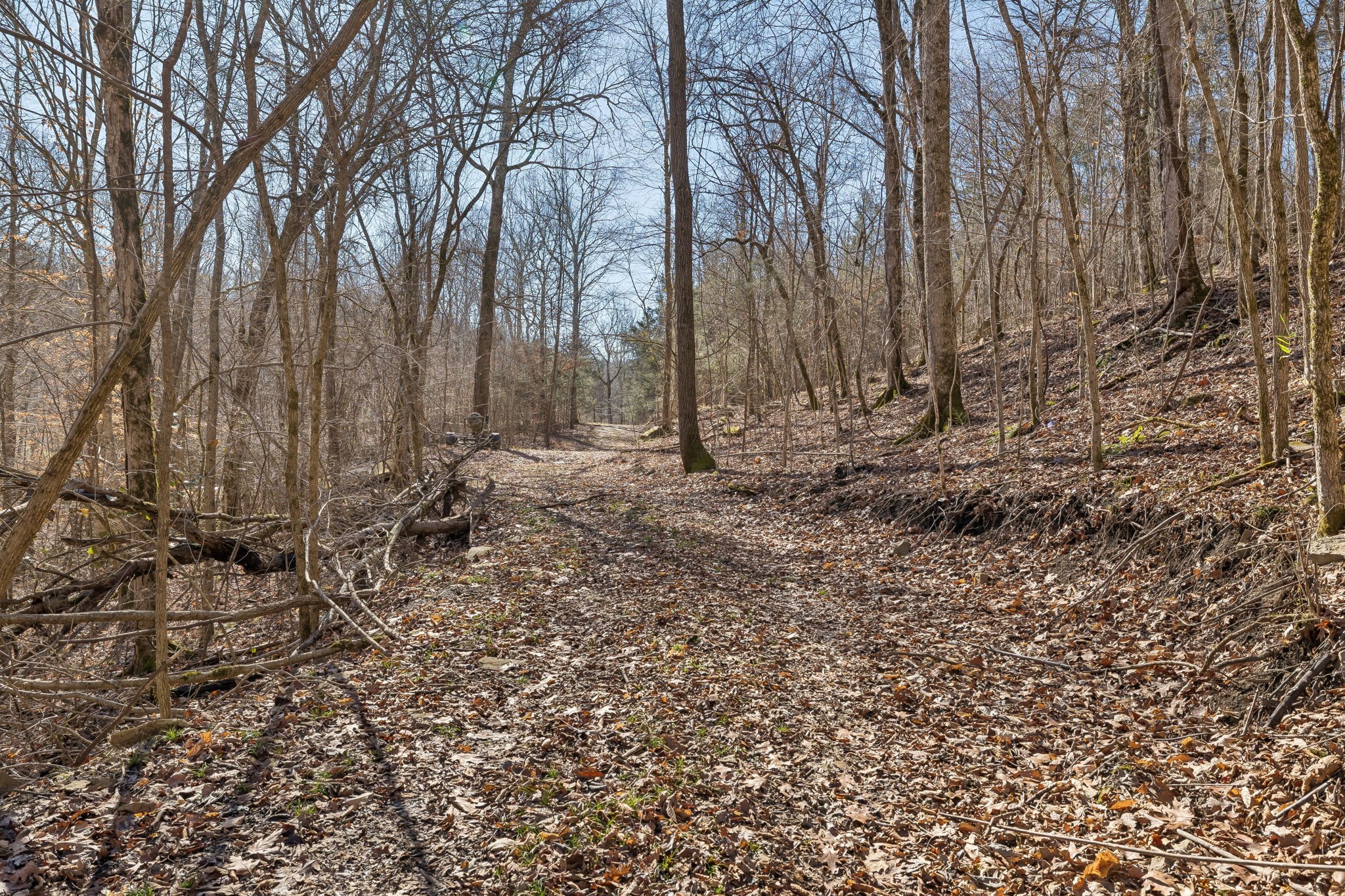 0 Hurricane Creek Road Linden, TN 37096 - Photo 20 of 20