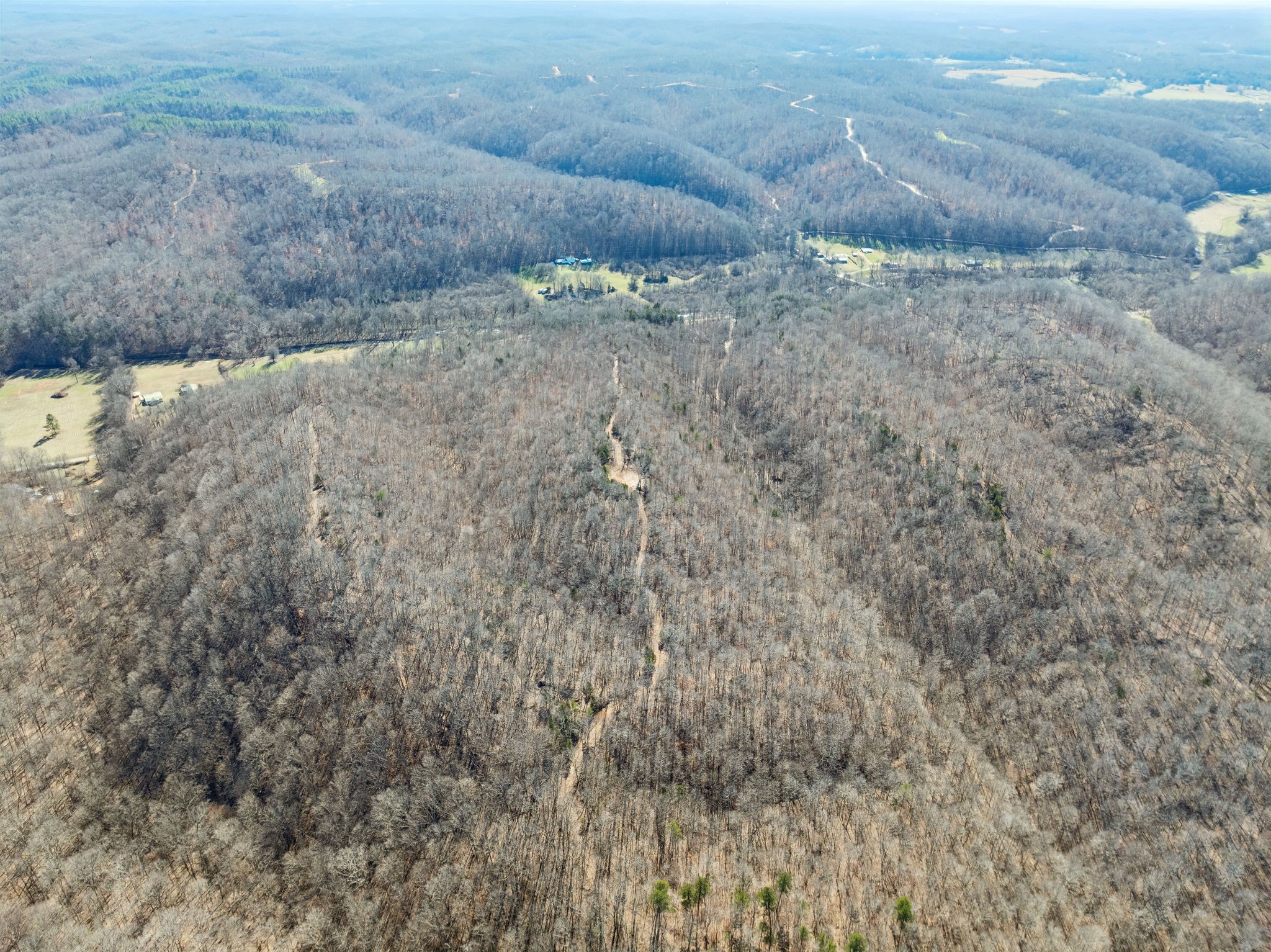 0 Hurricane Creek Road Linden, TN 37096 - Photo 2 of 20