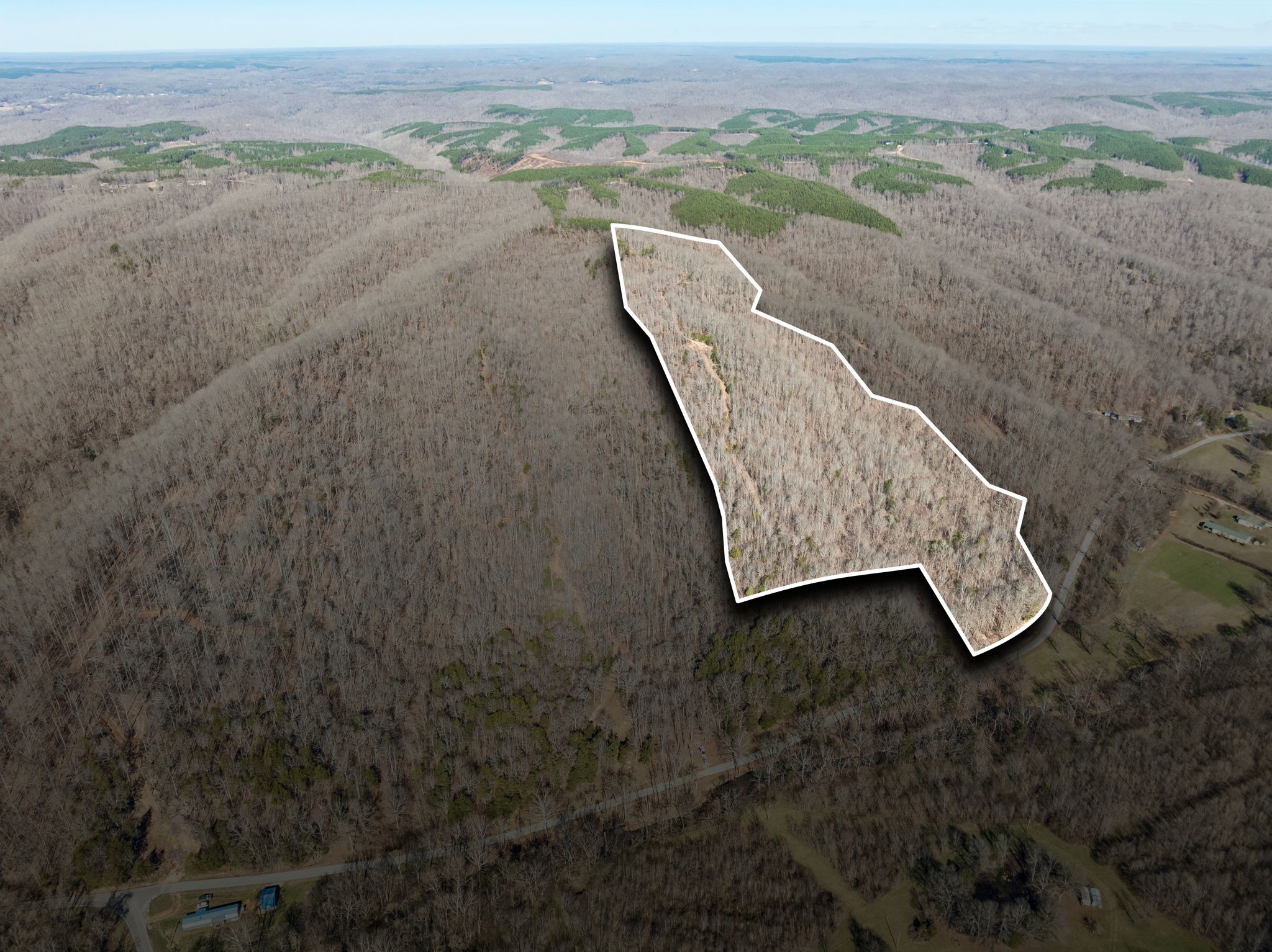 0 Hurricane Creek Road Linden, TN 37096 - Photo 3 of 20