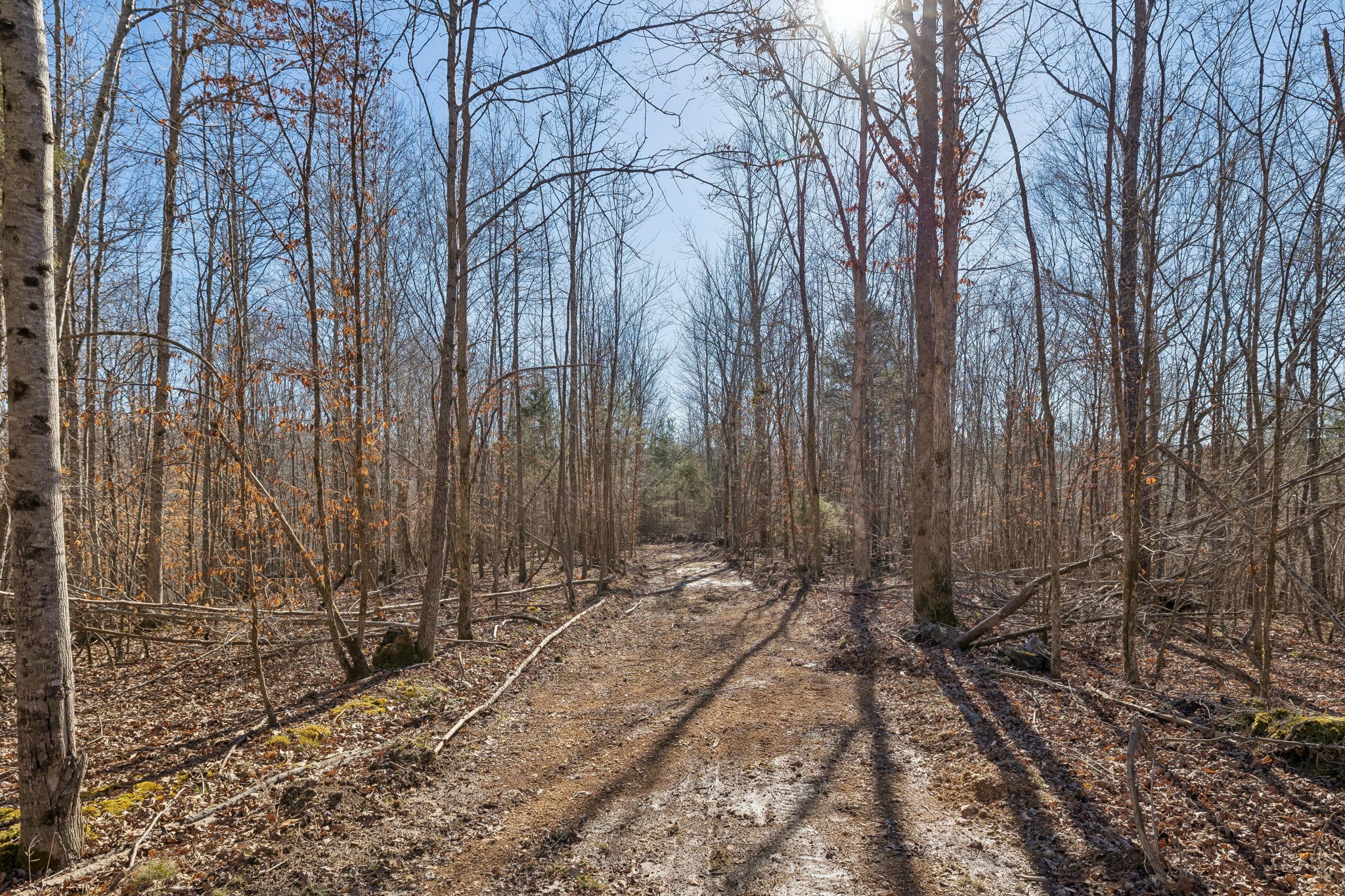 0 Hurricane Creek Road Linden, TN 37096 - Photo 6 of 20