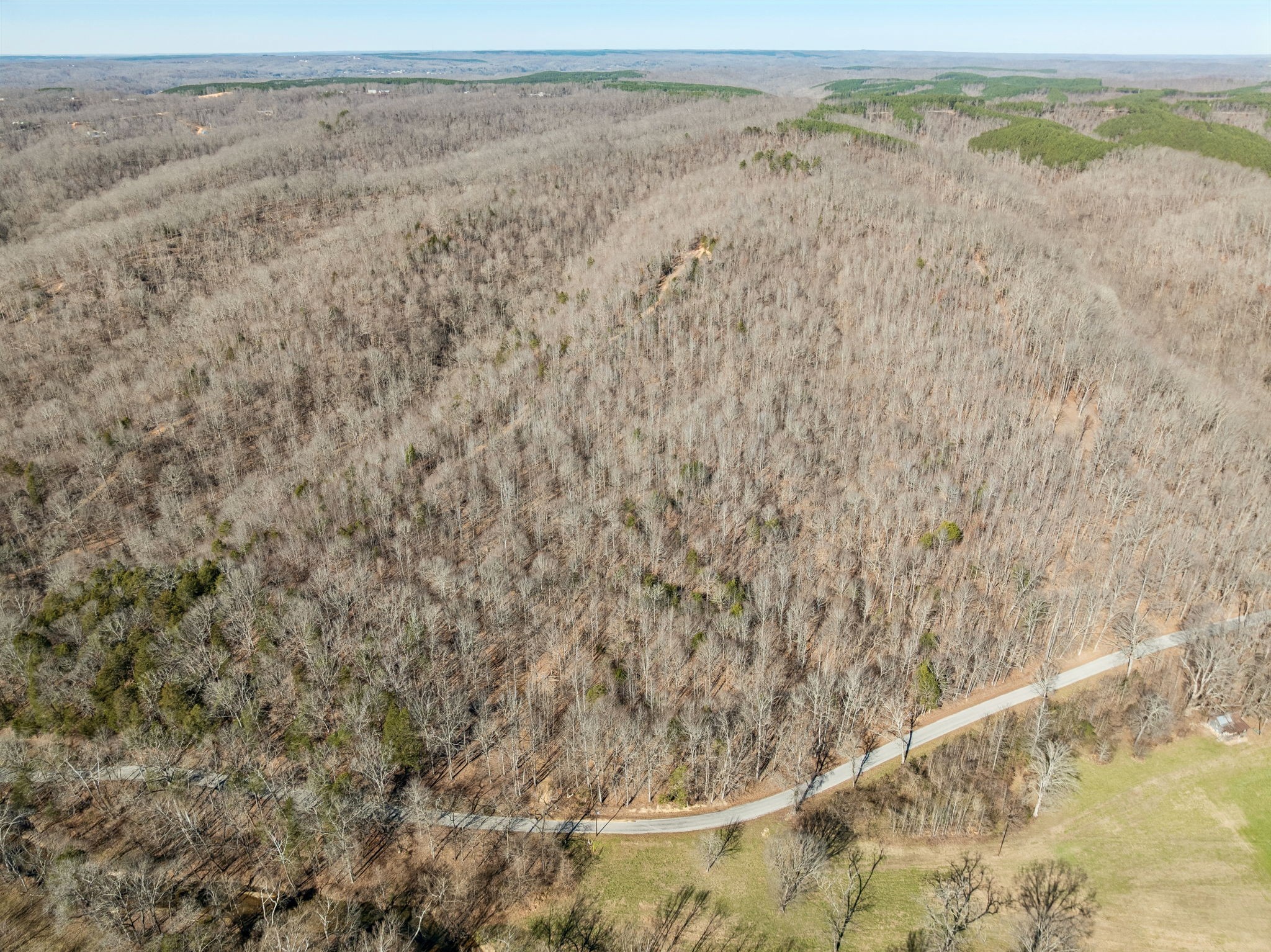 0 Hurricane Creek Road Linden, TN 37096 - Photo 7 of 20