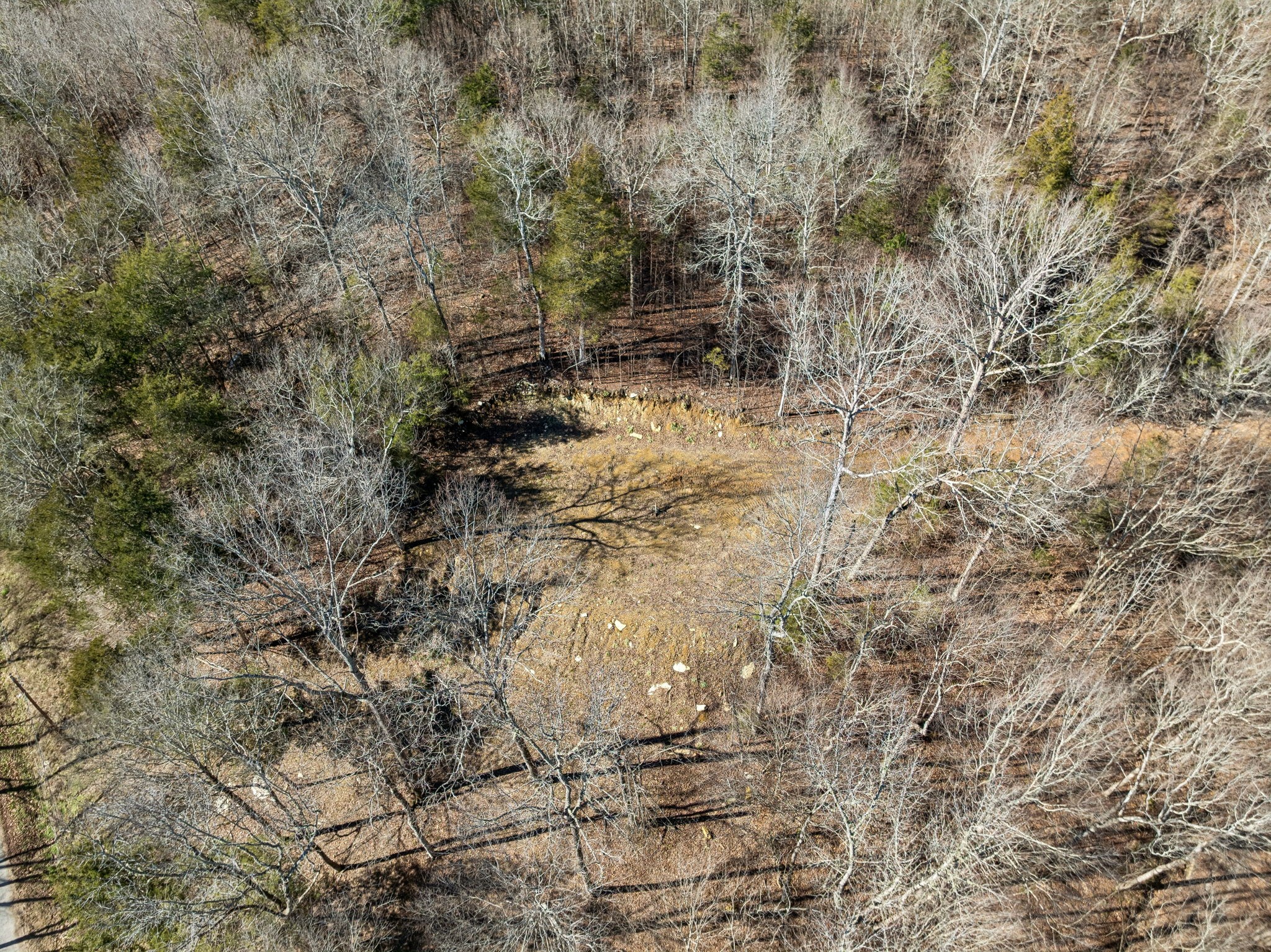 0 Hurricane Creek Road Linden, TN 37096 - Photo 8 of 20