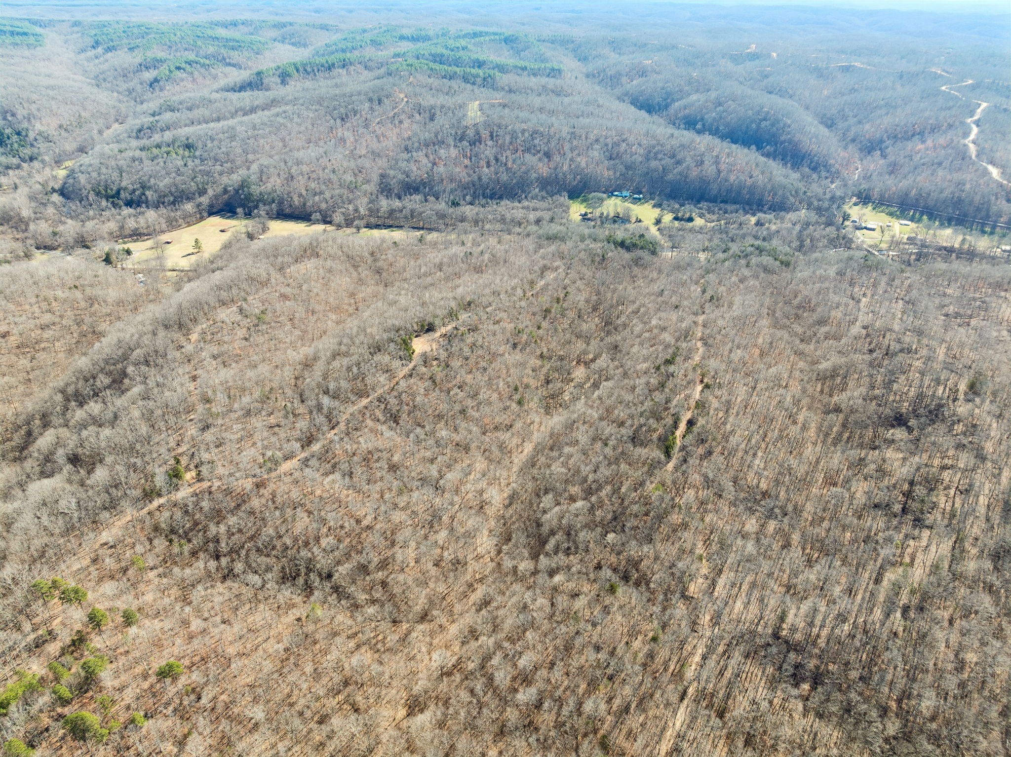 0 Hurricane Creek Road Linden, TN 37096 - Photo 9 of 20