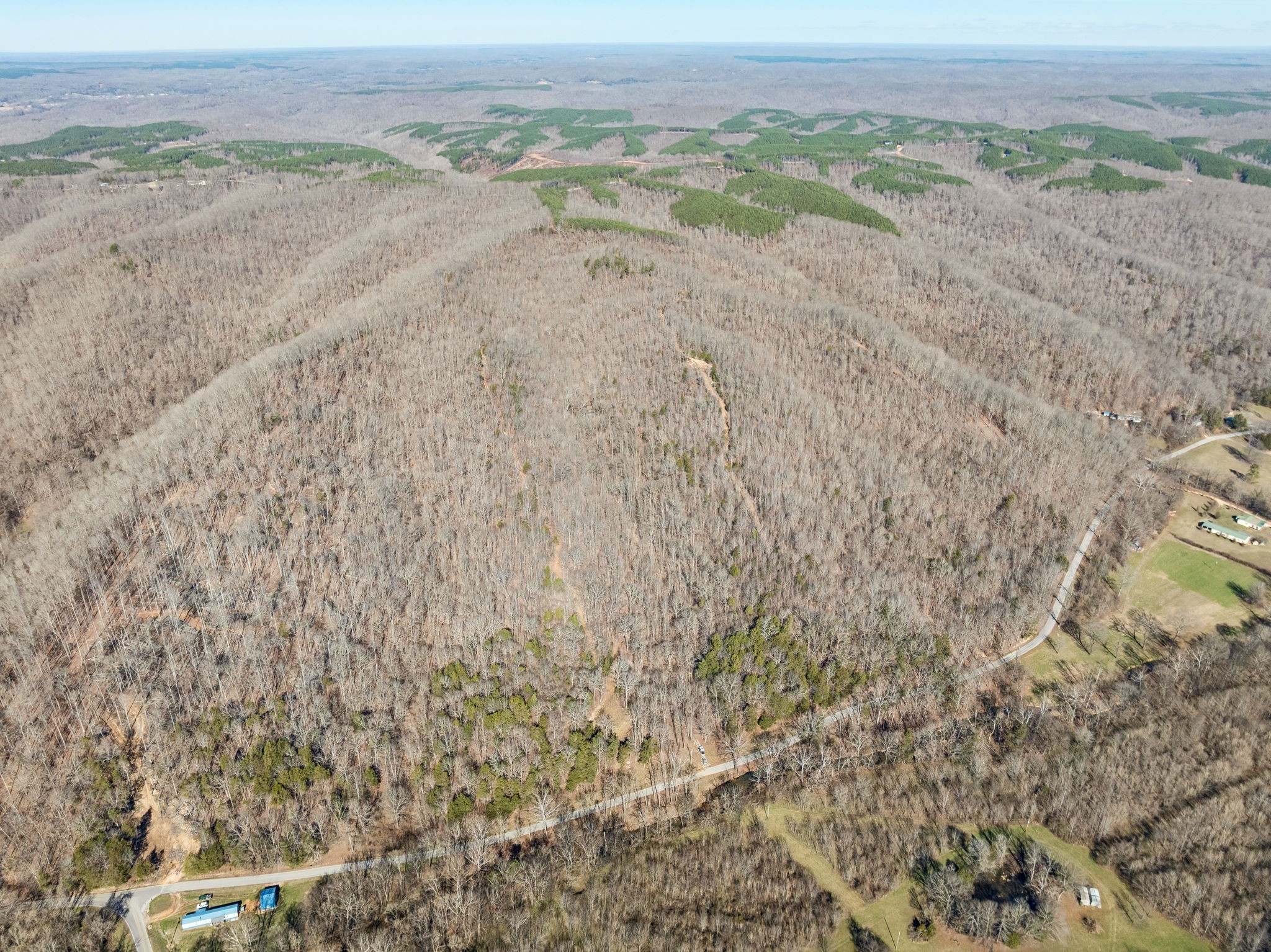 0 Hurricane Creek Road Linden, TN 37096 - Photo 10 of 20