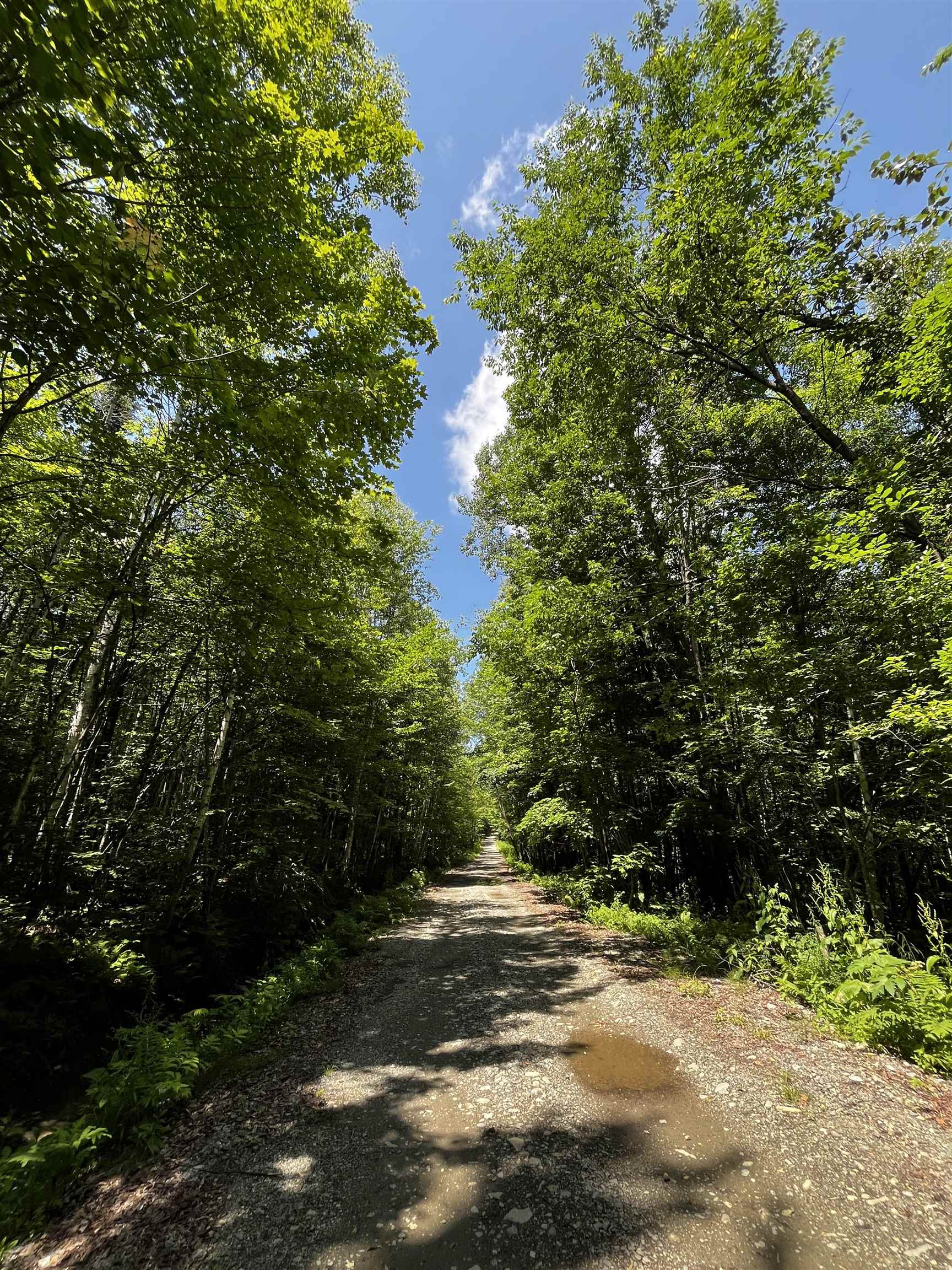 0 Leclair Road Concord, VT 05824 - Photo 5 of 27