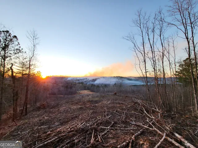 $751,925 | 800 Smoke Rise Drive, Woodland, GA 31836