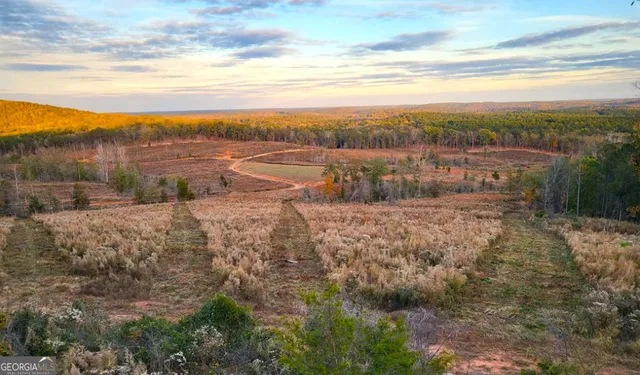 $751,925 | 800 Smoke Rise Drive, Woodland, GA 31836