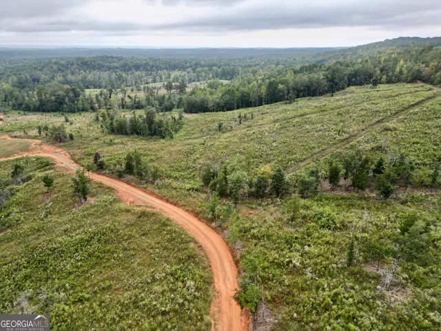 $751,925 | 800 Smoke Rise Drive, Woodland, GA 31836