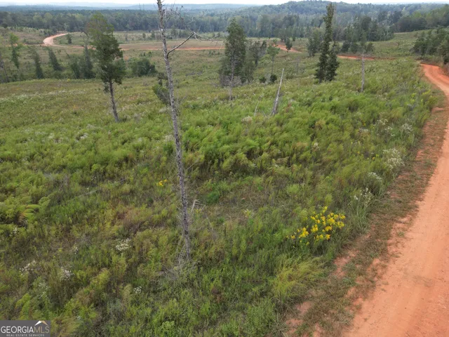 $751,925 | 800 Smoke Rise Drive, Woodland, GA 31836