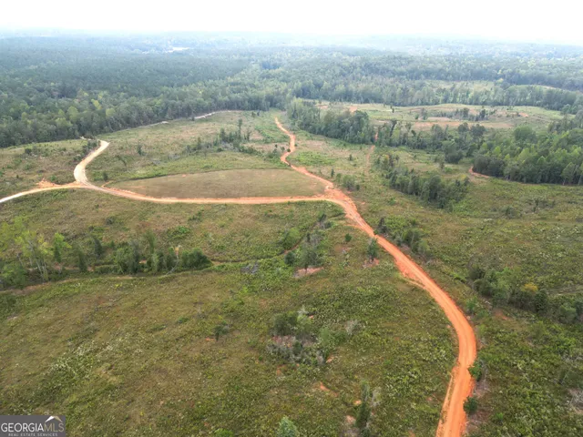 $751,925 | 800 Smoke Rise Drive, Woodland, GA 31836