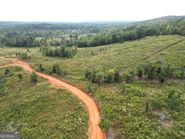 $751,925 | 800 Smoke Rise Drive, Woodland, GA 31836