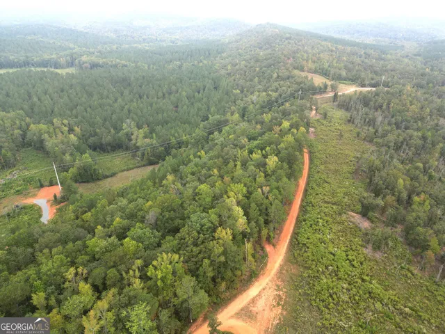 $751,925 | 800 Smoke Rise Drive, Woodland, GA 31836