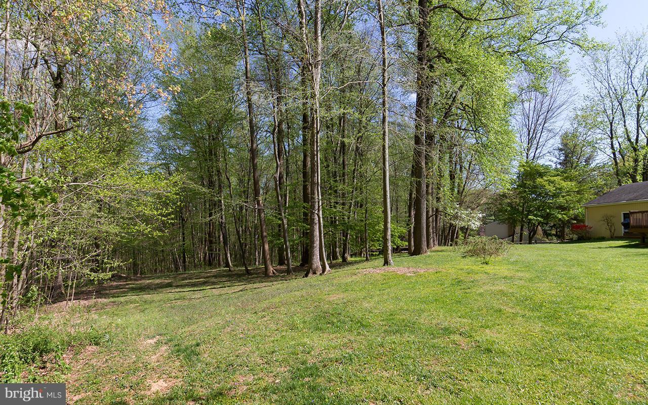 17213 Whiteley Road Monkton, MD 21111 - Photo 28 of 30 Exterior (Rear)